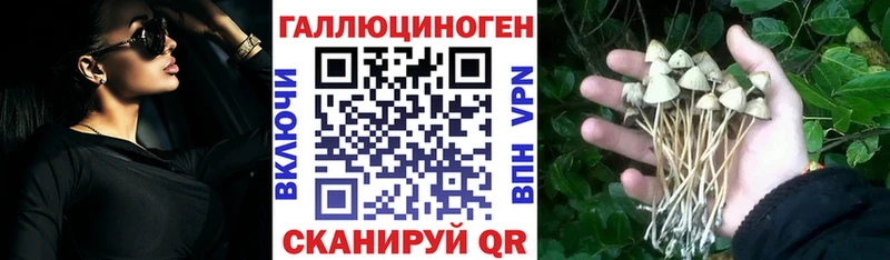 купить   Шарья  Галлюциногенные грибы ЛСД 