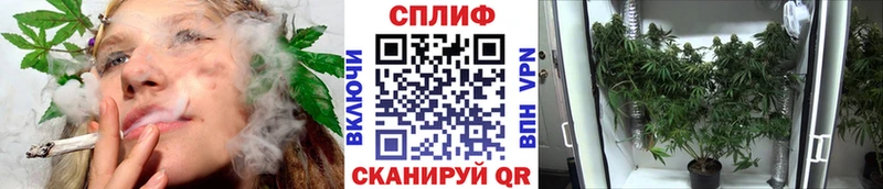 hydra tor  Шарья  МАРИХУАНА Amnesia 
